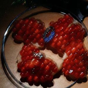 向房东低下了头蔡司最火的一句
